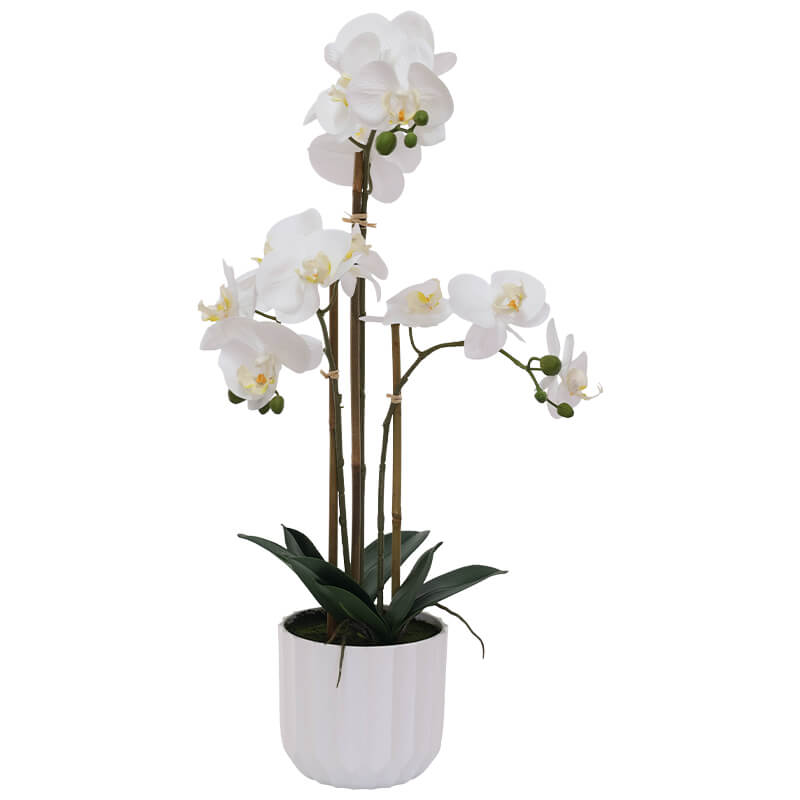 WHITE ORCHID/WHITE FACET POT 68CM