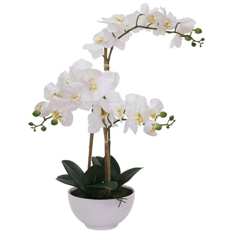 WHITE REAL TOUCH ORCHID IN POT