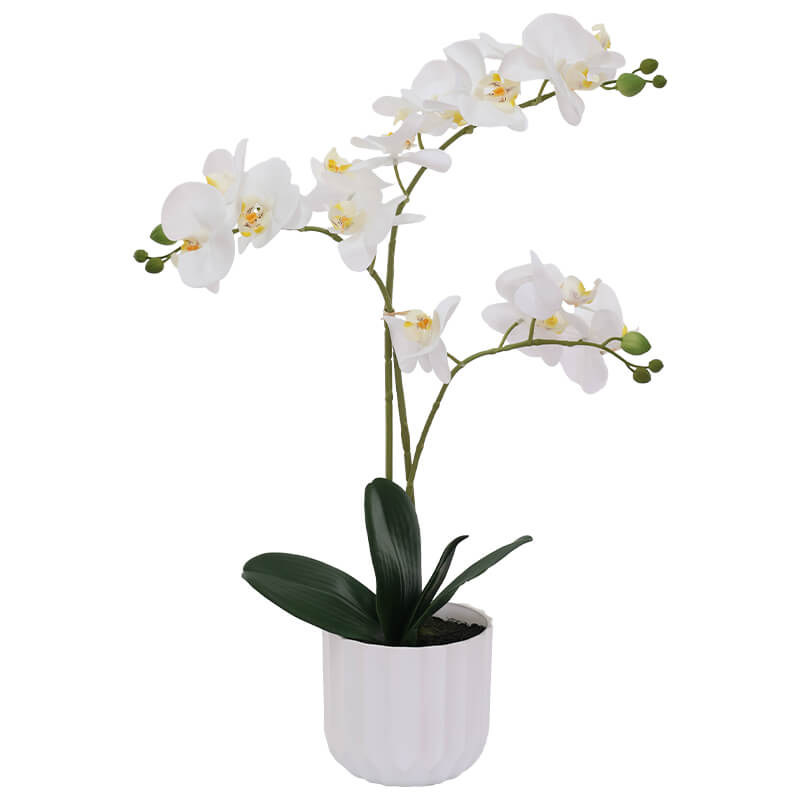 WHITE ORCHID/WHITE FACET POT